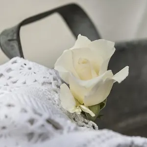 Il Giardino Di Ortensia Bed & Breakfast Bientina